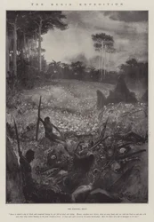 The Benin Expedition